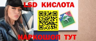 стафф Берёзовский