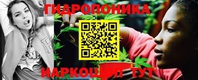 стафф Берёзовский