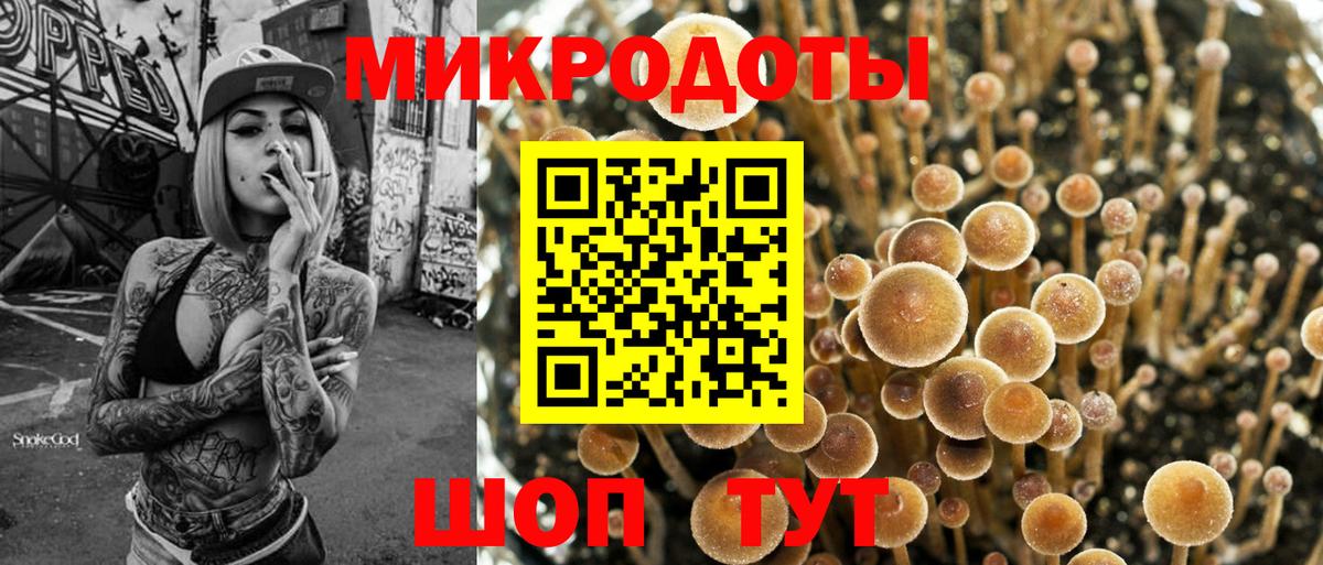купить   Вход с VPN  Беслан  Галлюциногенные грибы Psilocybe  Псилоцибиновые грибы Psilocybine cubensis 